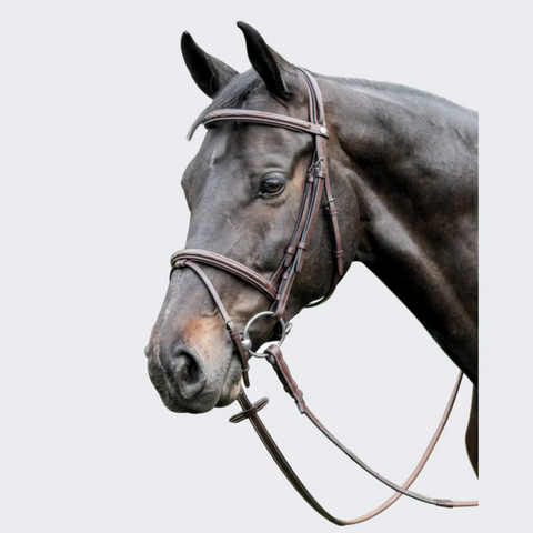 Bridle (English bridle) - 3E037