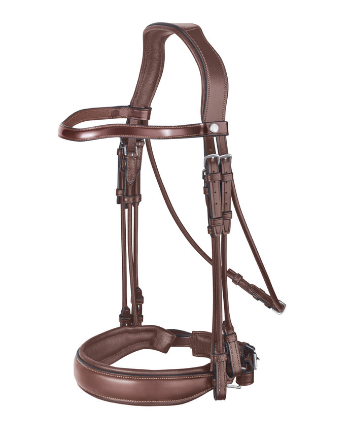 Double Dressage Bridle