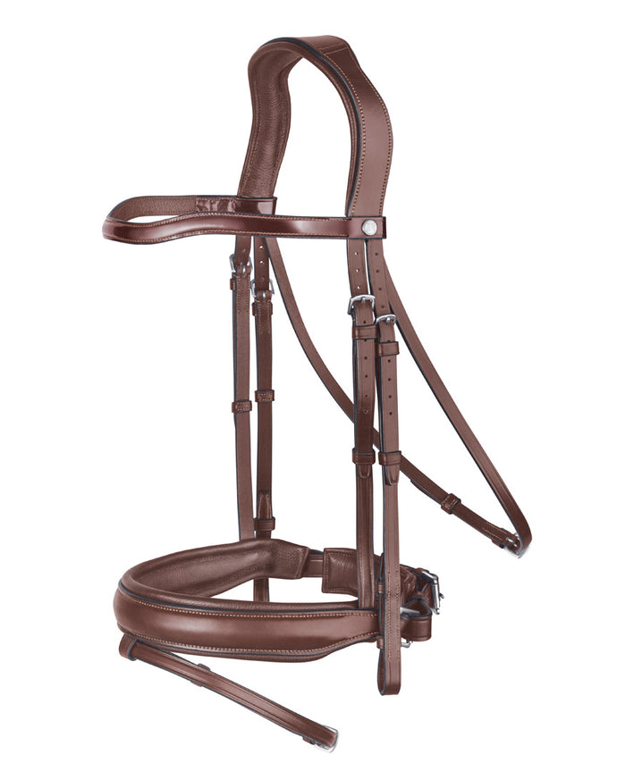 Dressage Bridle